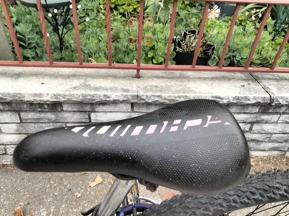Schwinn Ranger 24" Bike - photo 3