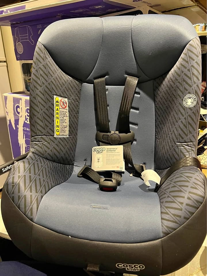 Cosco Serena Car Seat