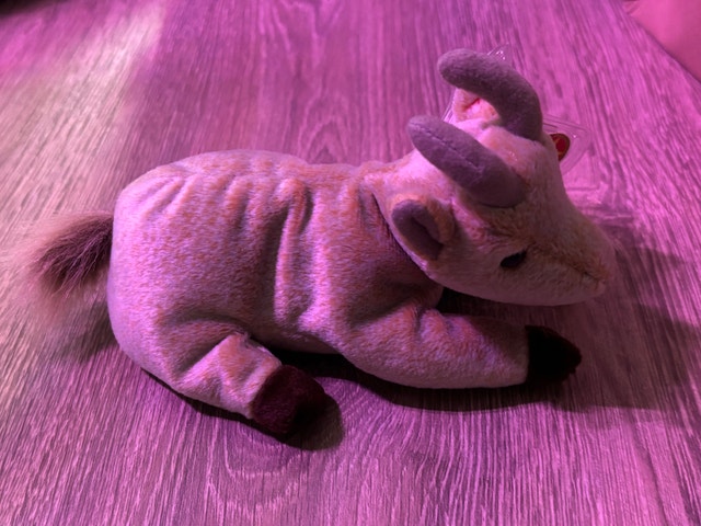 ERROR TAG Ty Beanie Baby Goatee 1998 MINT - photo 4