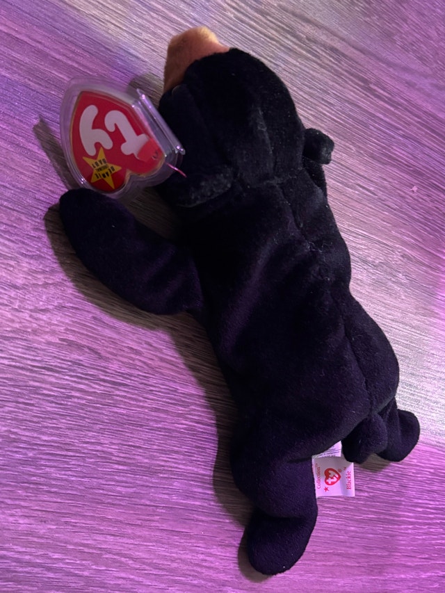 Ty Blackie the Bear Beanie Baby - photo 2