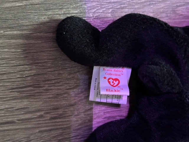 Ty Blackie the Bear Beanie Baby - photo 3