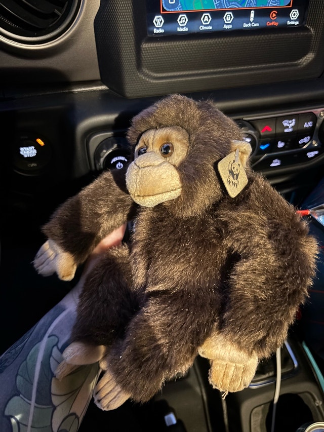 Chimpanzee Plush Toys R Us WWF 7" Stuffed Animal Toy
