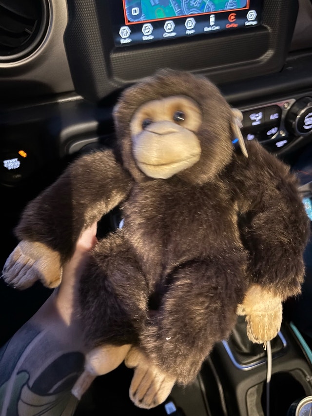Chimpanzee Plush Toys R Us WWF 7" Stuffed Animal Toy - photo 2