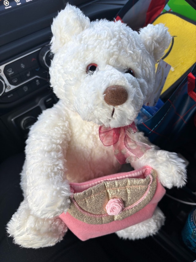 Gund Mappins Holiday Bear - Make a Wish Foundation Bear