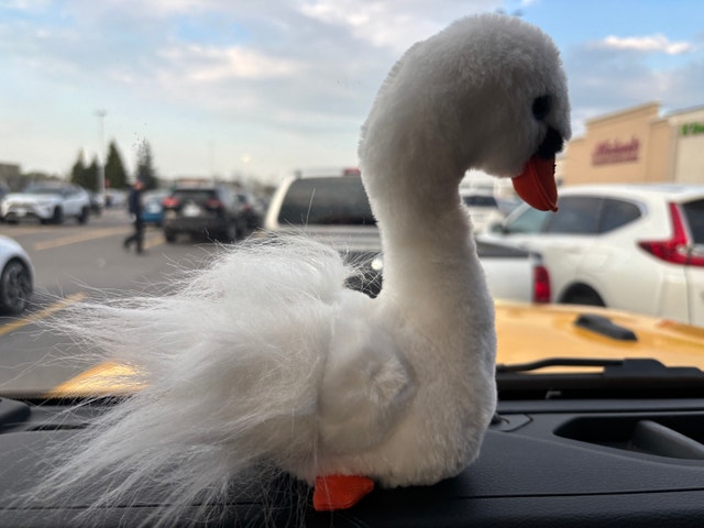 Ty Beanie Baby Gracie The Swan - Rare Vintage Collectible - photo 2