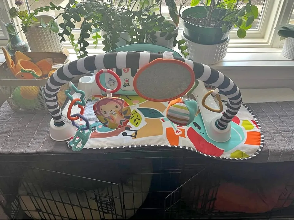 Fisher Price “Kick and Play”