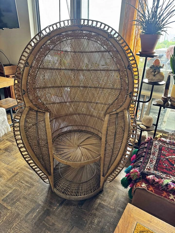 1970s Cobra Peacock Chair Rare Vintage Rattan Wicker Throne