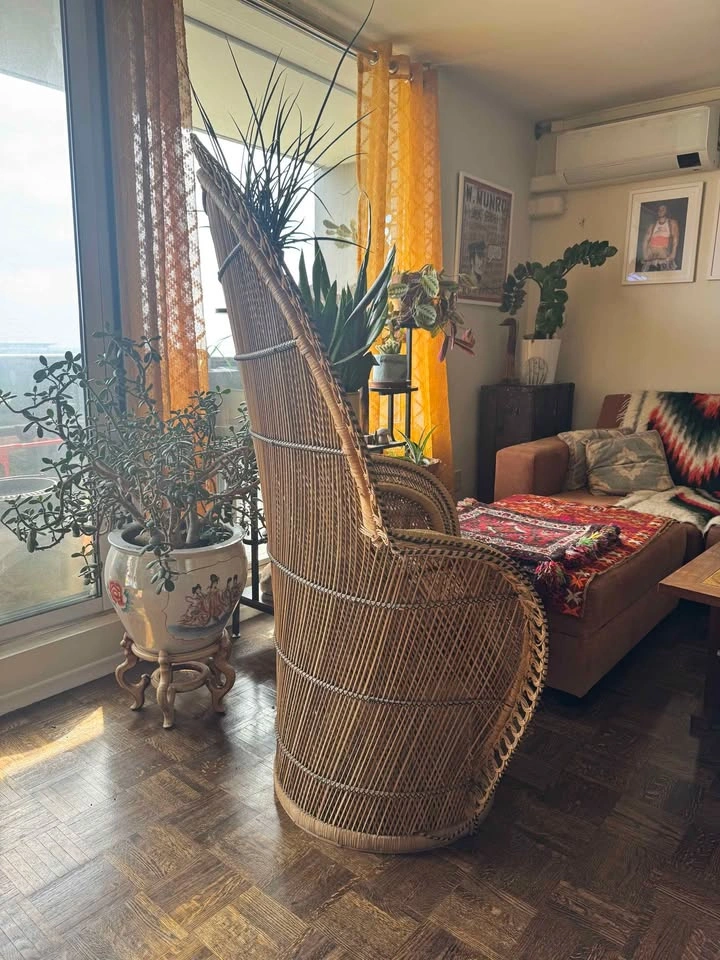 1970s Cobra Peacock Chair Rare Vintage Rattan Wicker Throne - photo 4