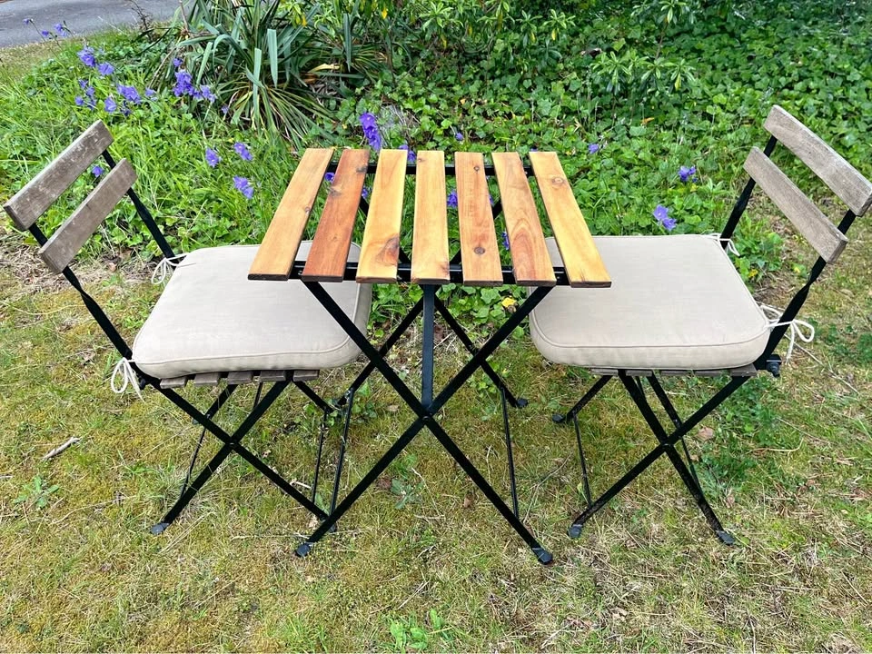 IKEA TÄRNÖ Patio Set with the Cushions