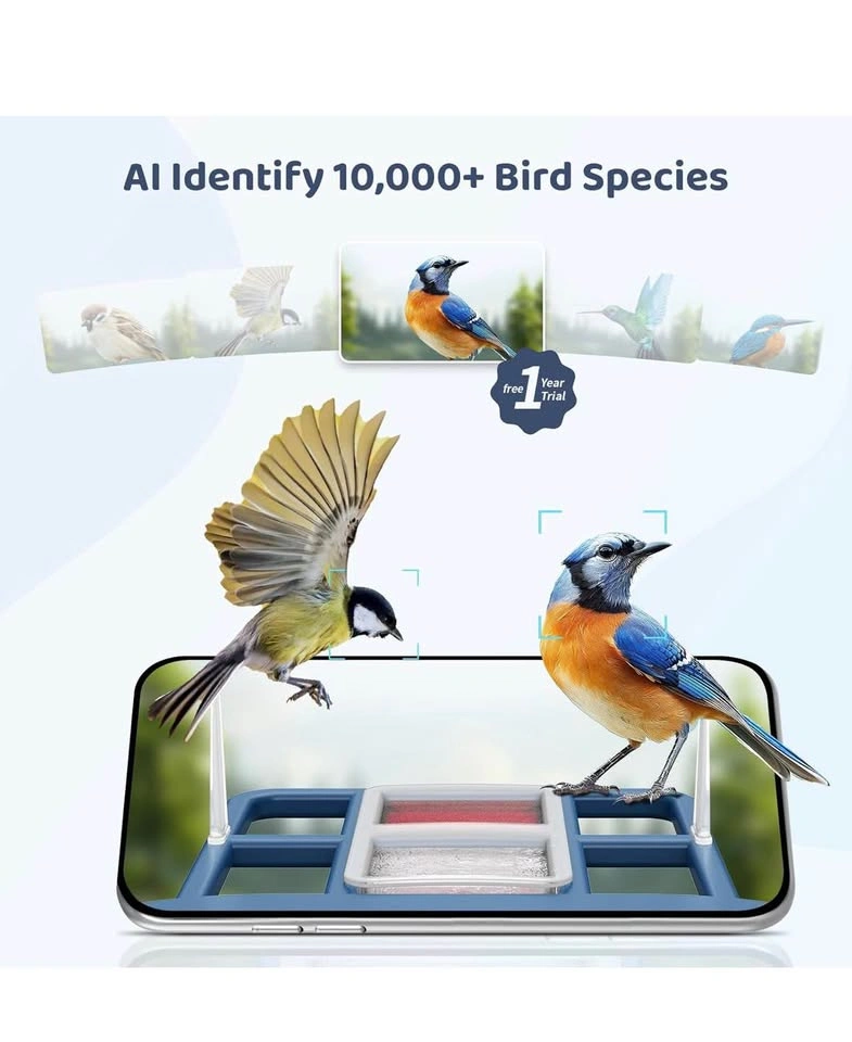 LIWAN Bird Feeder Camera 2K AI Bird Recognition Solar Powered - photo 2