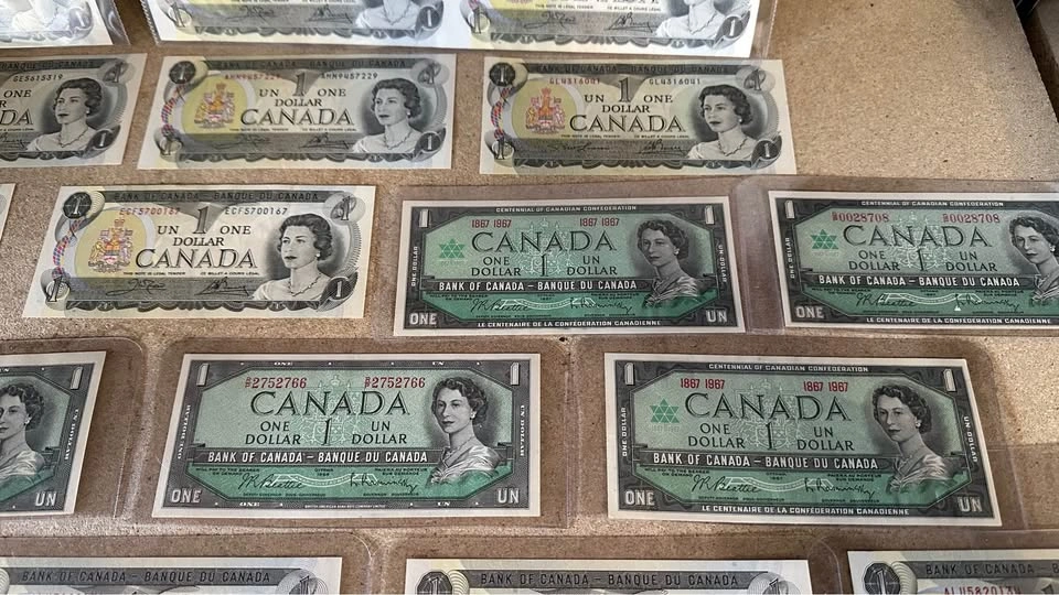 Old Canadian 1 and 2 Dollar Banknotes Queen Elizabeth II - photo 5