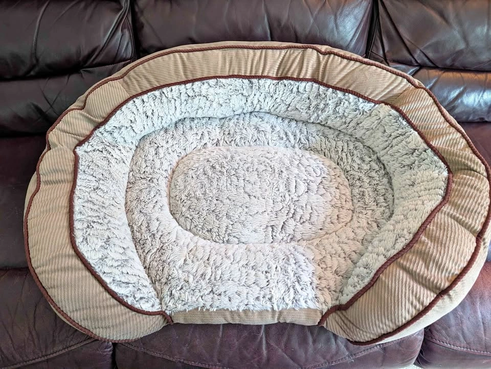 Dog bed