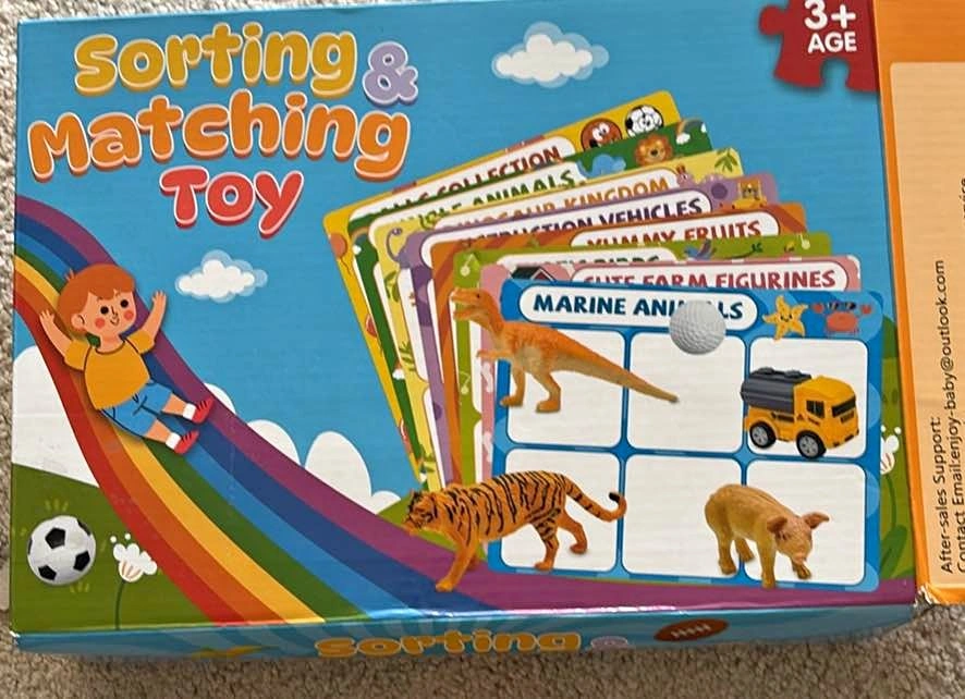 Sorting and matching toy for Toddlers