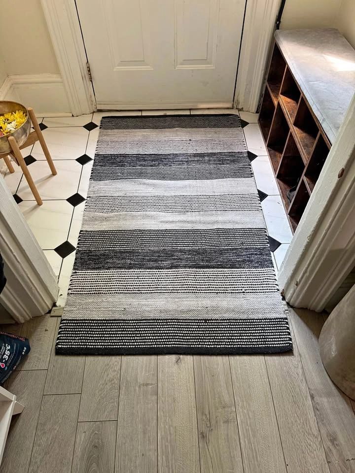 Entry way rug (60x33)