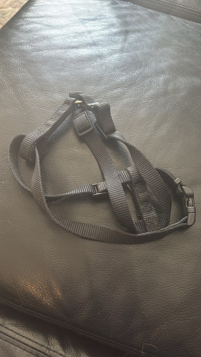 Dog harness