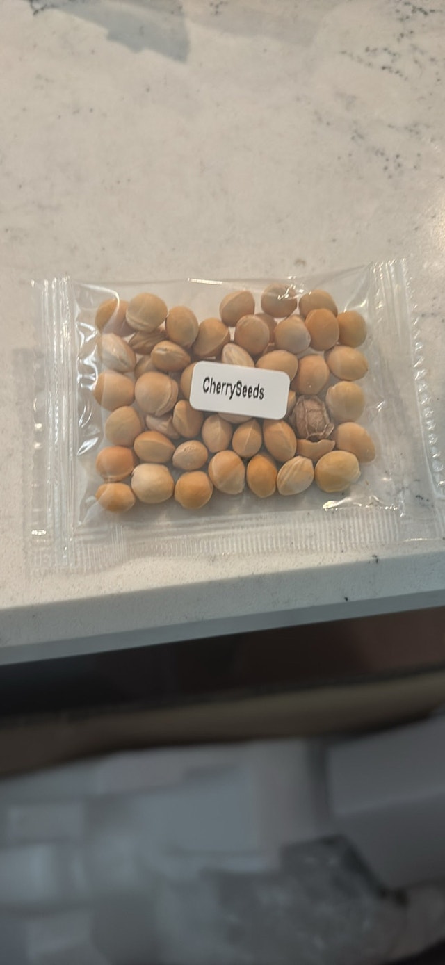 Cherry Seeds