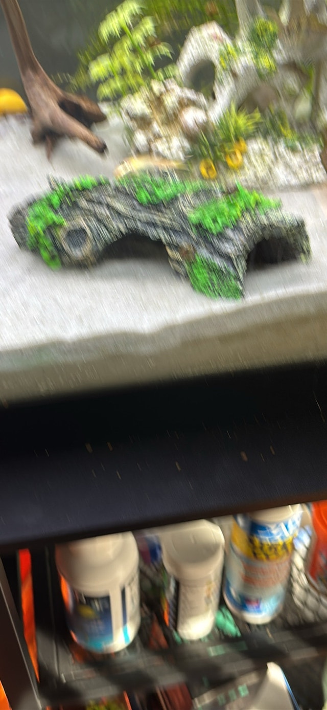 Aquarium Ornament