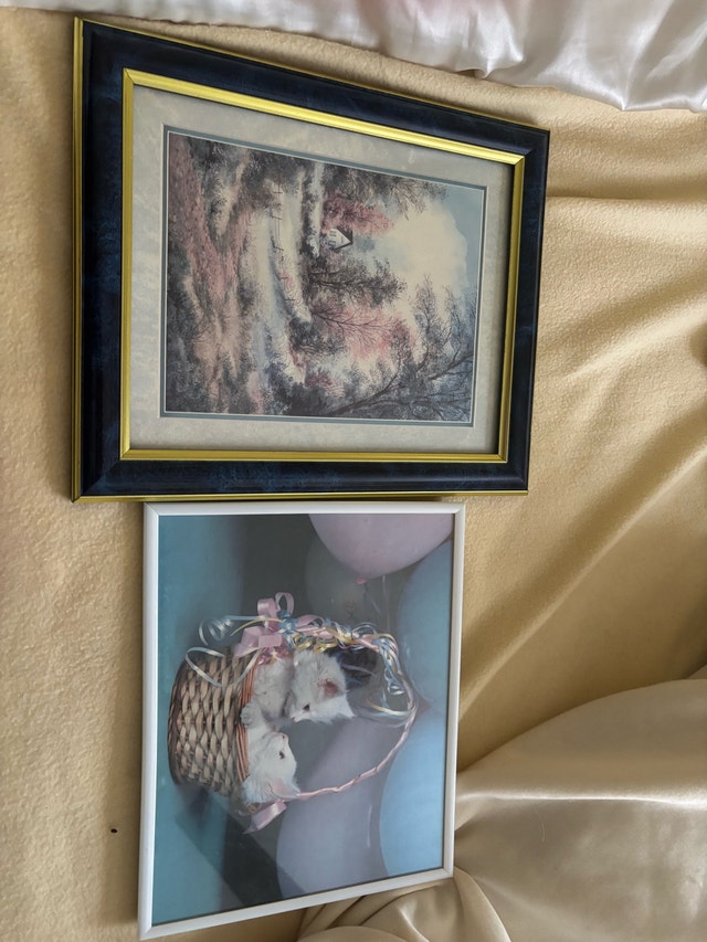 Framed Prints