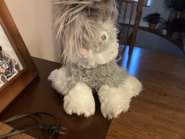 Plush Rabbit