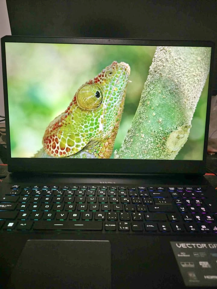 MSI Vector GP77 RTX 4070 i9 Gaming Laptop - QHD 240Hz