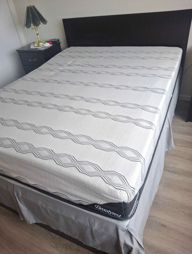 Queen Bed and Mattress