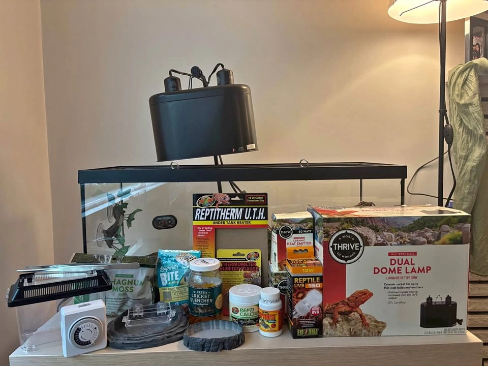 20 Gallon Reptile Tank & Full Setup