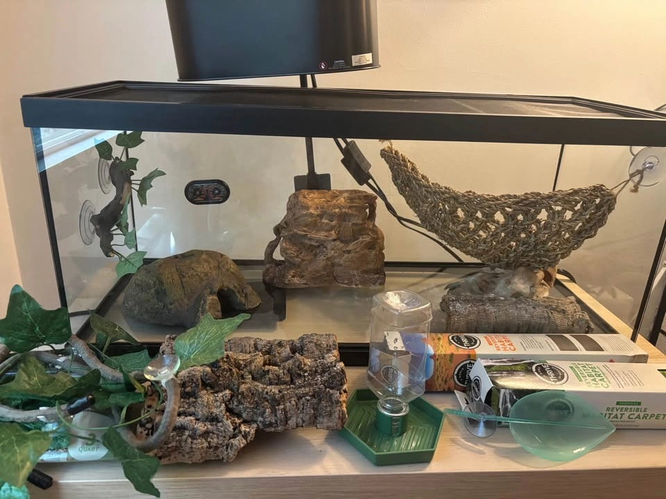 20 Gallon Reptile Tank & Full Setup - photo 2