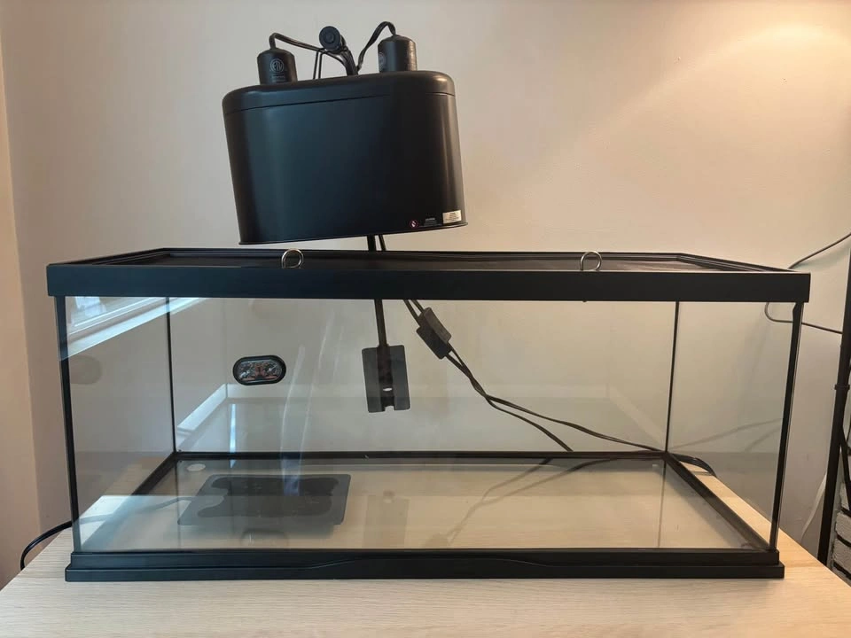 20 Gallon Reptile Tank & Full Setup - photo 3