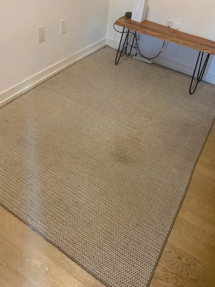 100% Wool Hand Woven Carpet EQ3 - photo 3
