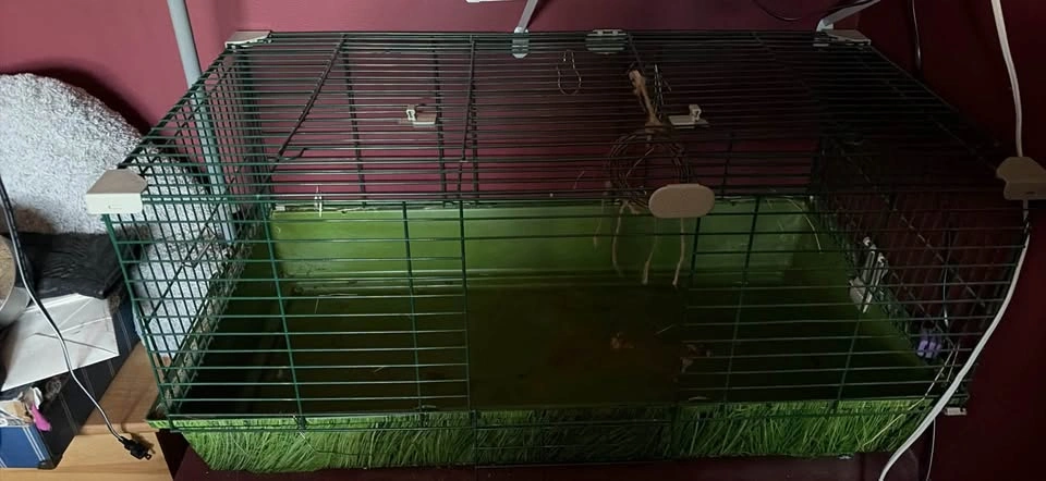 Pet cage - photo 3