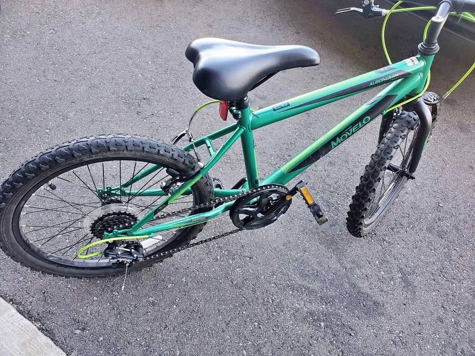 Movela Algonquin 20" Bike
