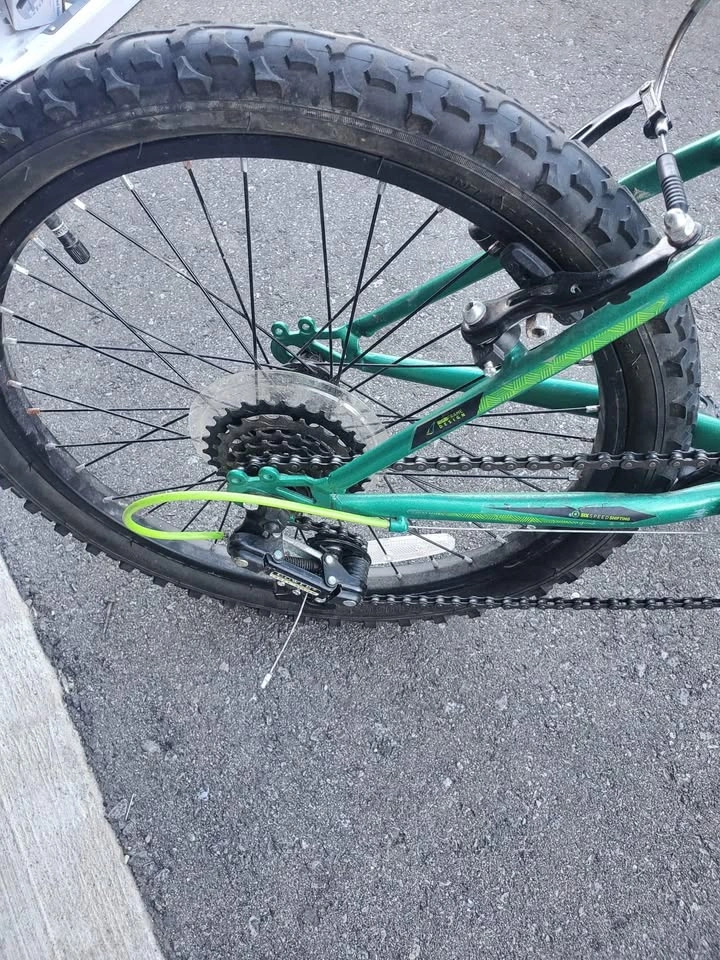 Movela Algonquin 20" Bike - photo 2