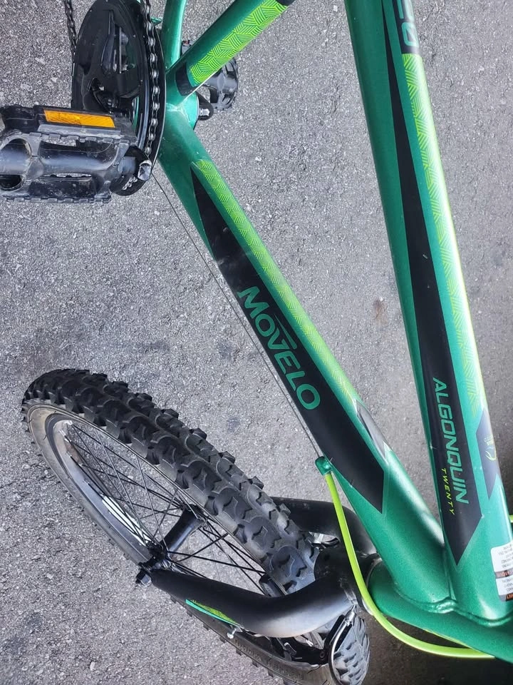 Movela Algonquin 20" Bike - photo 3