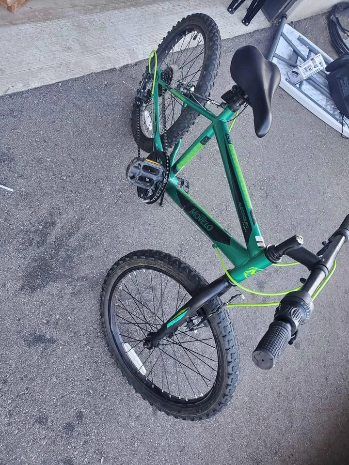 Movela Algonquin 20" Bike - photo 4