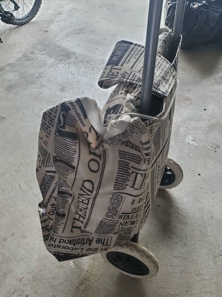 Grocery Cart on wheels