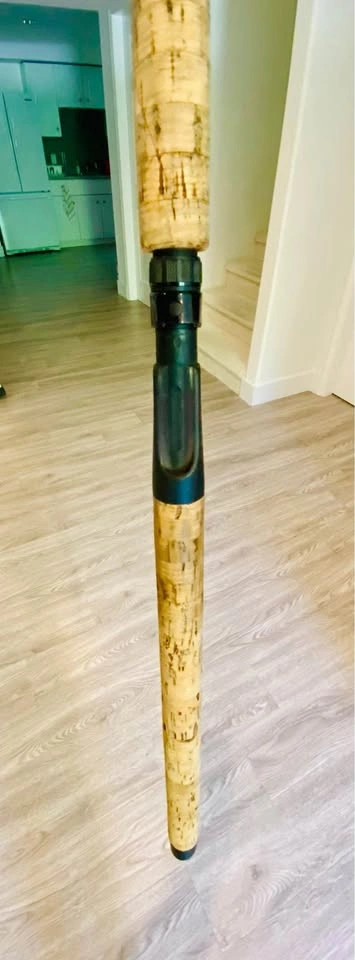 Shimano Convergence Rod – 10’6” Salmon fishing - photo 4