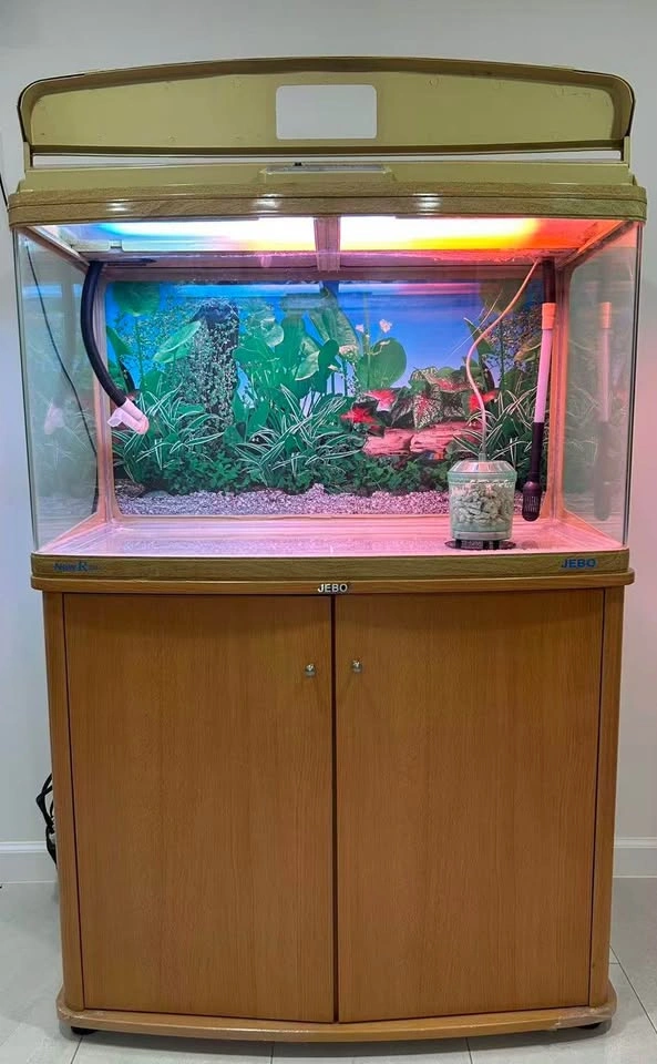 50 gallon fish tank with bottom drawer - solid wood - photo 2