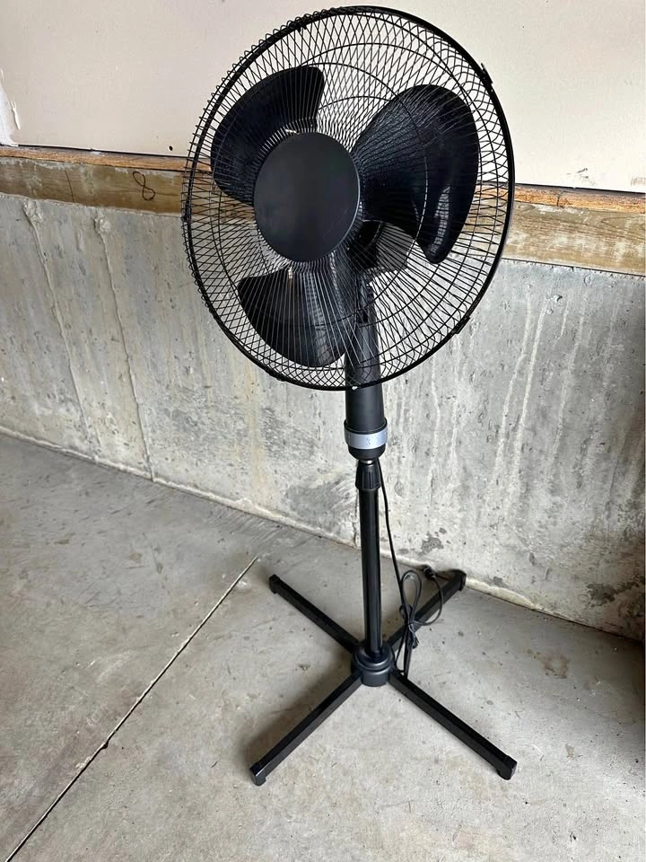 Black standing fan