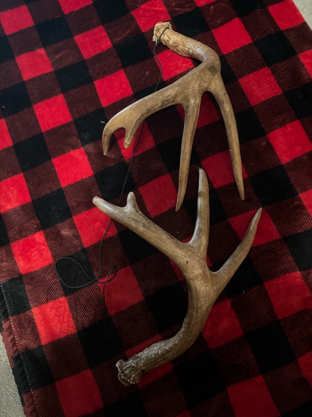 Synthetic Antlers $15 - photo 2