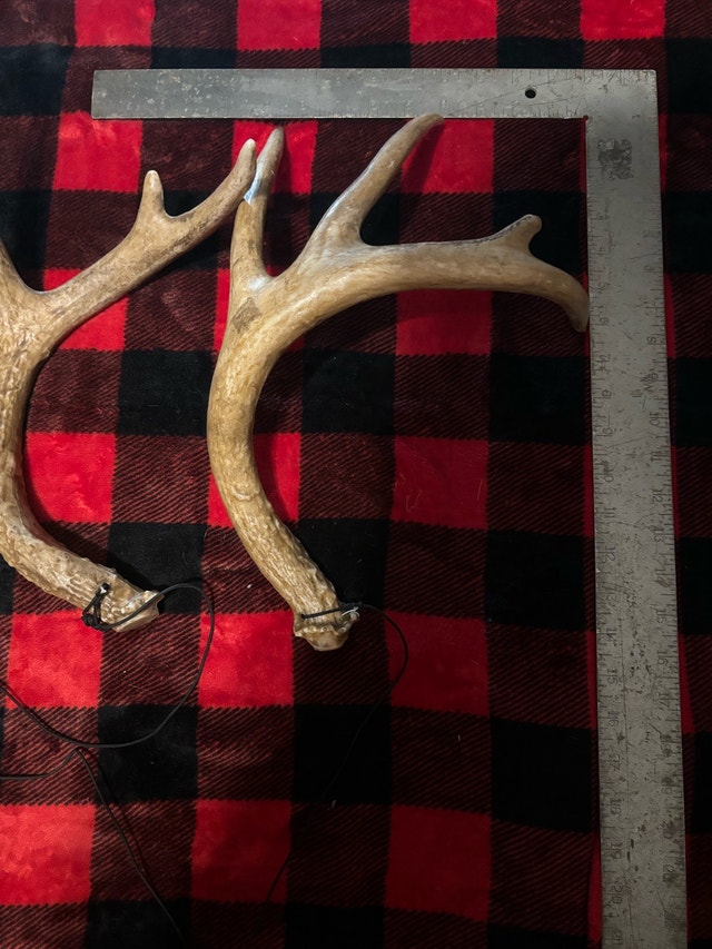 Synthetic Antlers $15 - photo 3
