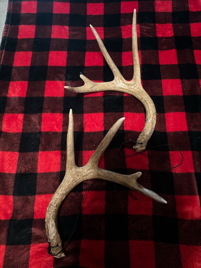 Synthetic Antlers $15 - photo 4