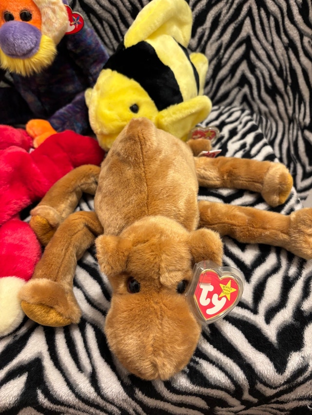 TY Beanie Buddies $7each  or $35 for All - photo 4
