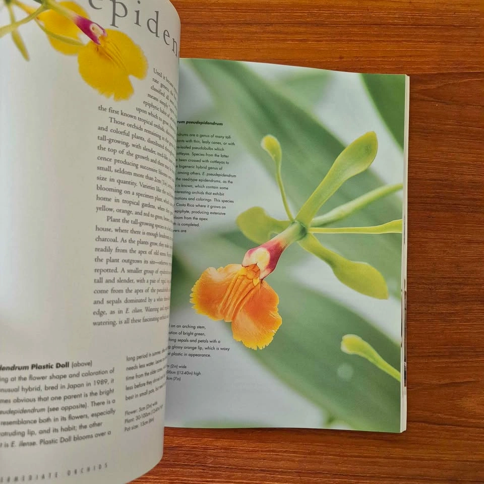 Orchids: A Practical Guide to The World's Most Fascinating Plant - photo 2