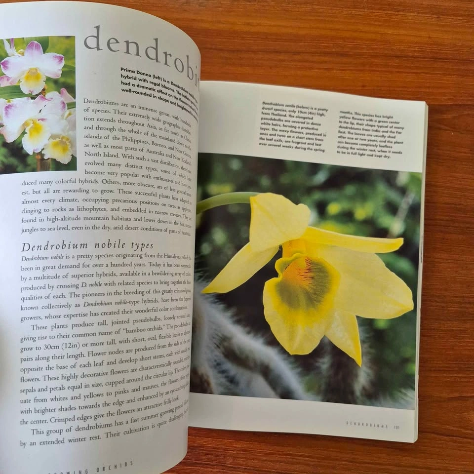 Orchids: A Practical Guide to The World's Most Fascinating Plant - photo 4