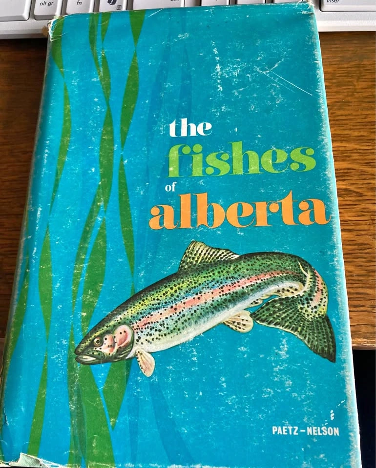 The Fishes Of Alberta By Paetz-Nelson