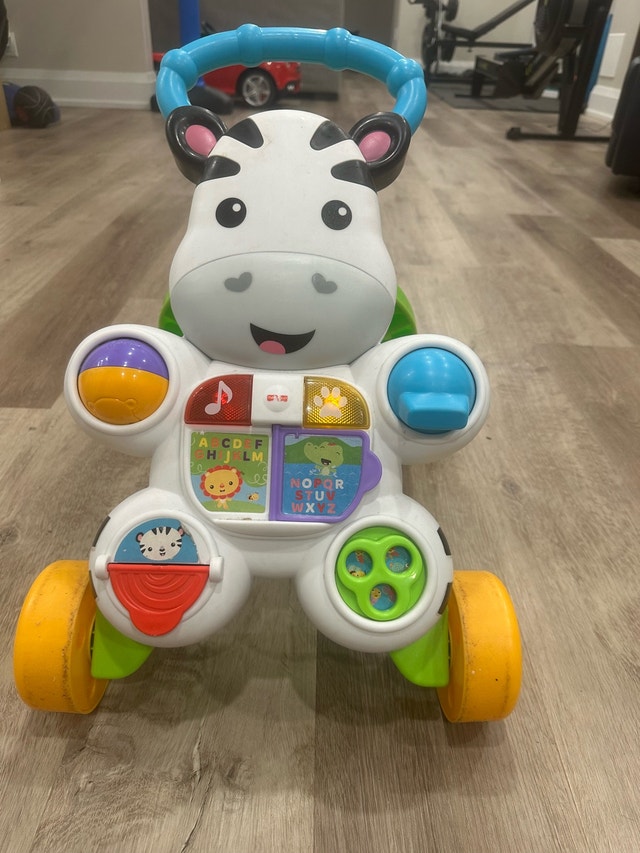 Fisher Baby Push Toy