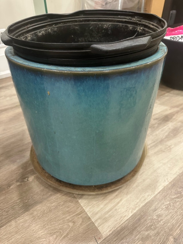 blue vase pot