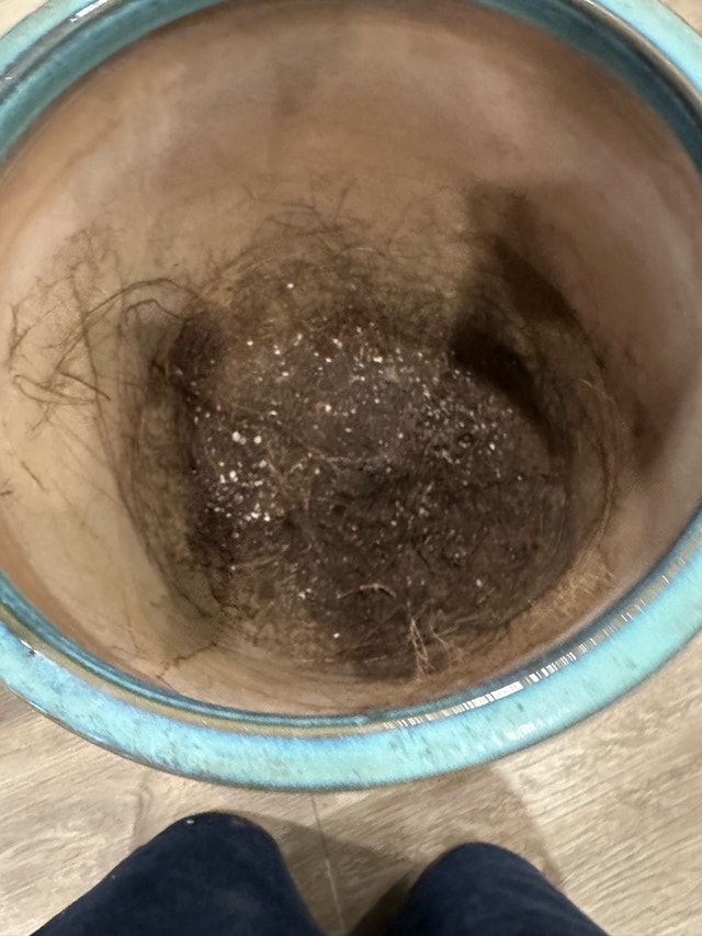 blue vase pot - photo 4