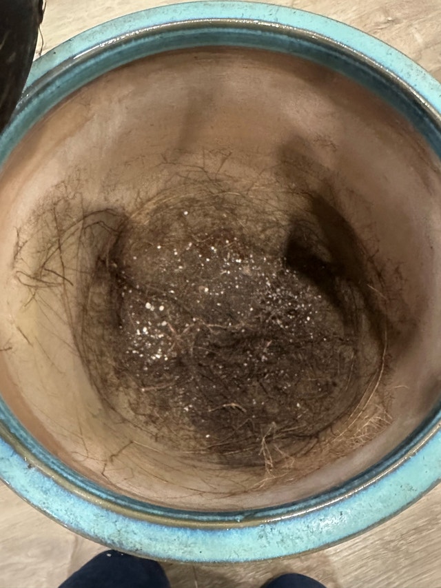 blue vase pot - photo 5