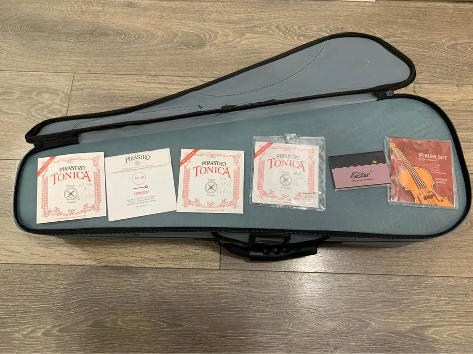 Beginner Violin Easter 1/2 - photo 2